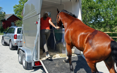 Towing a Horse Box.