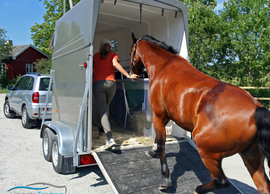 Towing a Horse Box